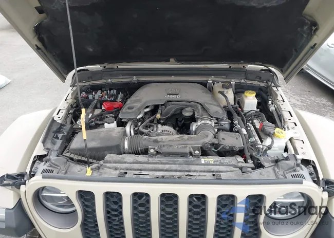 1C6JJTBGXLL192034: 41744242