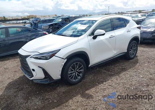 JTJGKCEZXR5013787: 41744274