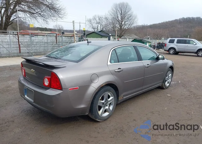 1G1ZC5EB3AF234825: 41751860