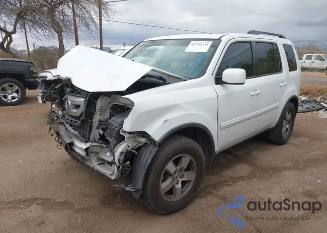 5FNYF3H5XAB019905: 41755324