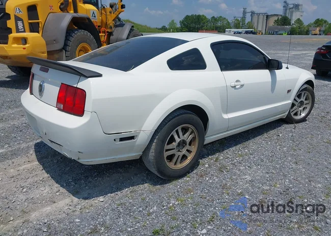 1ZVFT82H065159239: 41768546