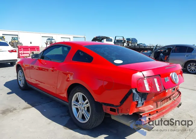 1ZVBP8AMXC5214390: 41769848