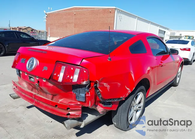 1ZVBP8AMXC5214390: 41769848