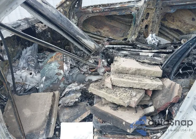 WDDZF8DB5LA753009: 41772809