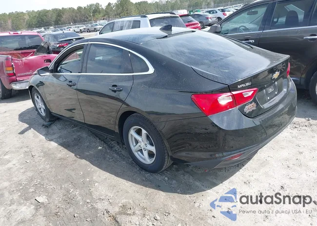 1G1ZB5ST6HF101664: 41790563