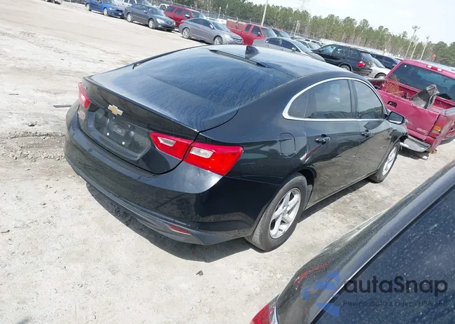 1G1ZB5ST6HF101664: 41790563