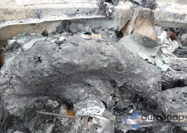 1G1YY22P3T5117640: 41790611