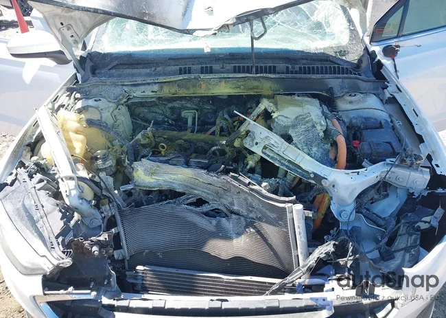 3FA6P0LU8LR266686: 41790126