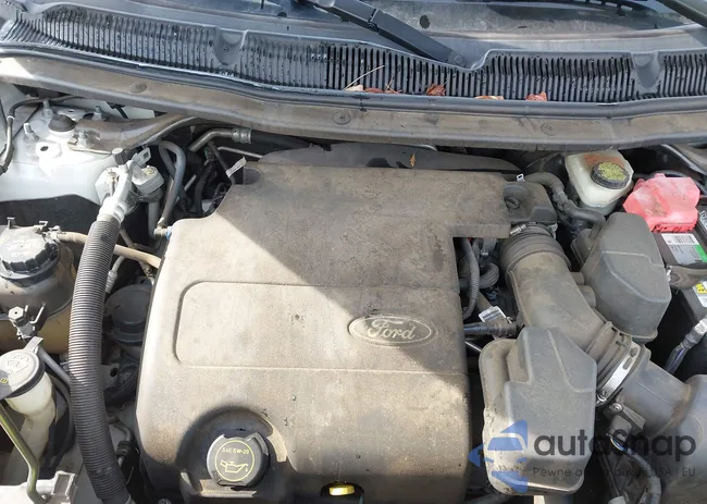 1FM5K7F81FGA66705: 41794650