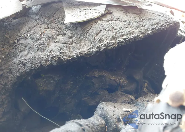 JF2GPAGC6E8290349: 41795468