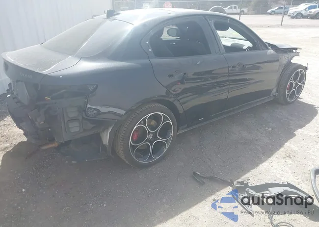 ZARFANBN8N7665729: 41795504