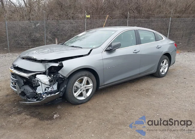 1G1ZC5ST3PF173398: 41799946