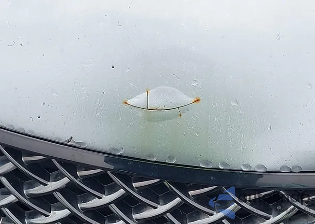 JS2RE9A33A6100068: 41802860