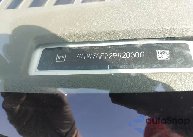 1GTW7AFP2P1120306: 41802202