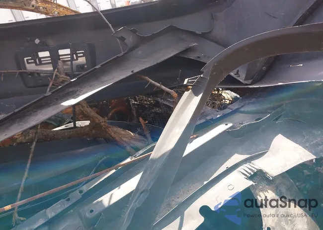 JA4JZ4AX9GZ006313: 41813587