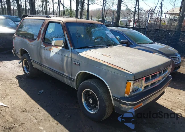 1GNCS18Z0K8197974: 41819789