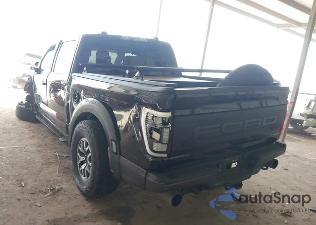 1FTFW1RG0PFA13711: 41823541