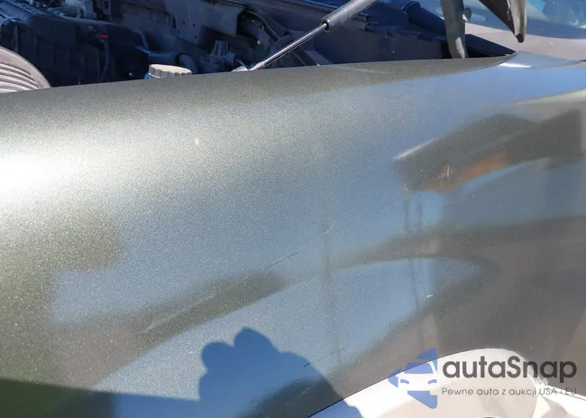 1FMPU17595LA89031: 41825539