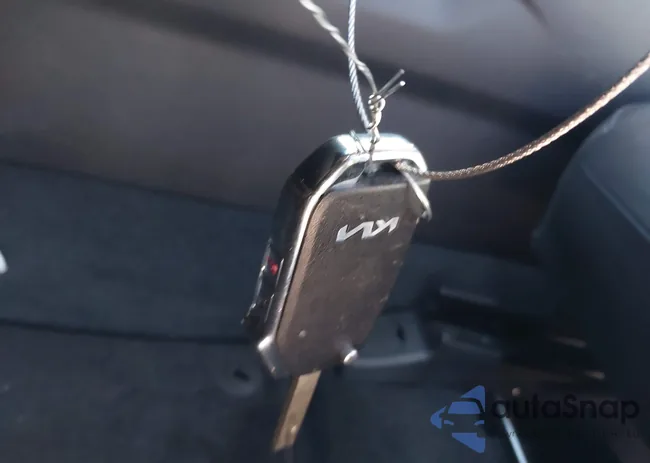 5XYRG4LCXPG249670: 41827780