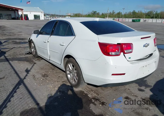 1G11C5SL0FF101604: 41830113