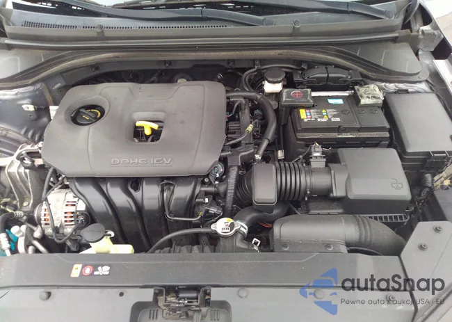 5NPD84LF2LH513873: 41831790