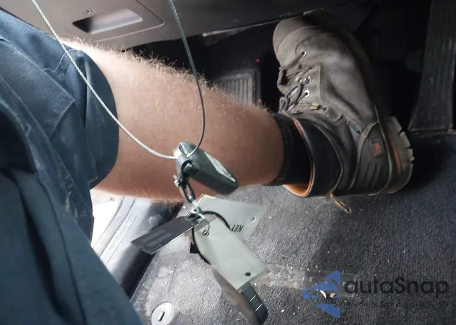 5XYRLDJC9RG258376: 41831014