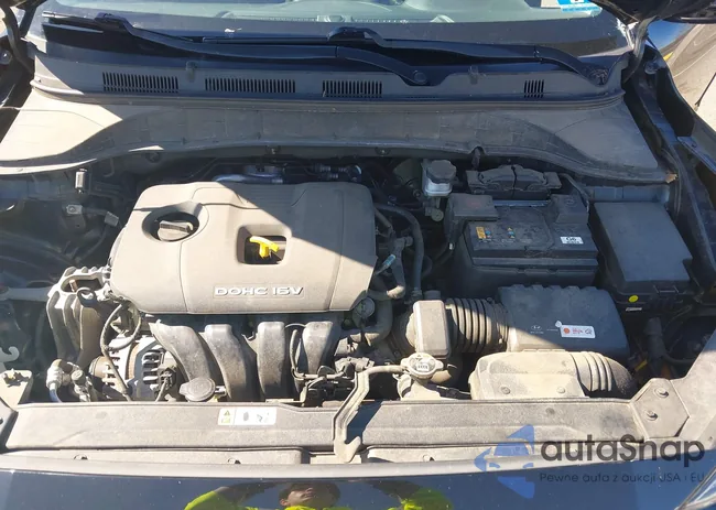 KM8K1CAA7LU488743: 41833649