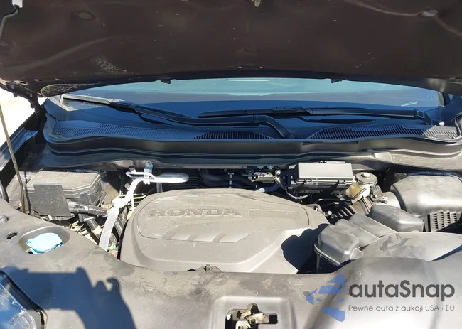 5FNYF8H07MB018359: 41834413