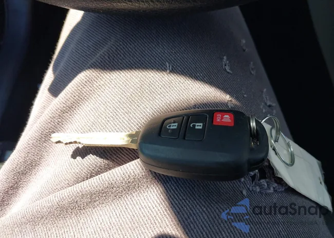 7MUAAAAG1RV101003: 41838801