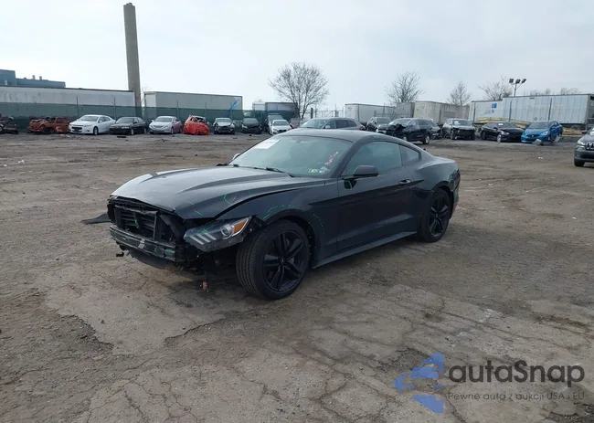 1FA6P8TH9G5244707: 41839853