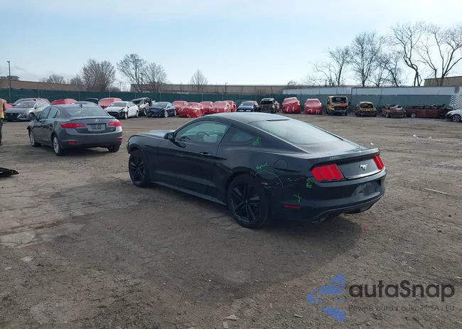 1FA6P8TH9G5244707: 41839853