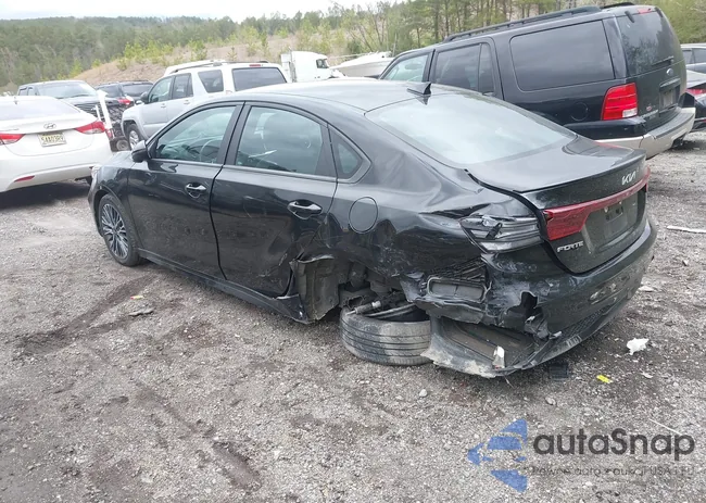 3KPF54AD0PE547694: 41845228