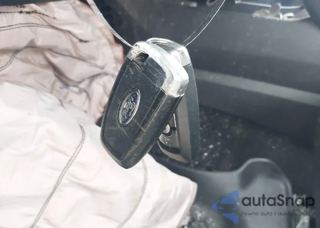 3FA6P0HD1HR203767: 41847350