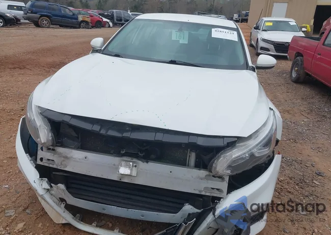 1N4BL4BV5KN308941: 41851529