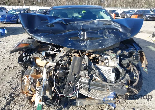 JN1BJ1CP5KW228289: 41855679