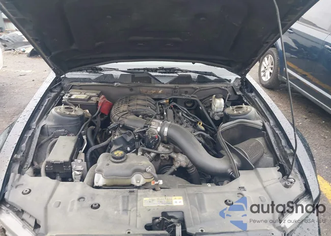 1ZVBP8AM9D5253490: 41856886