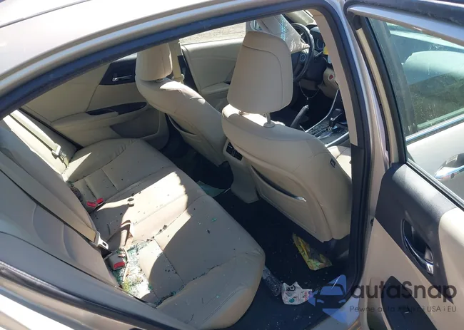 1HGCR2F87DA152306: 41859075