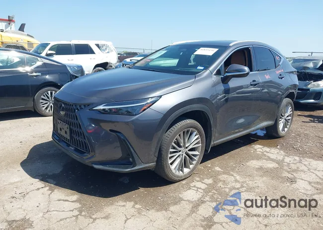 2T2GKCEZ6PC012862: 41859196