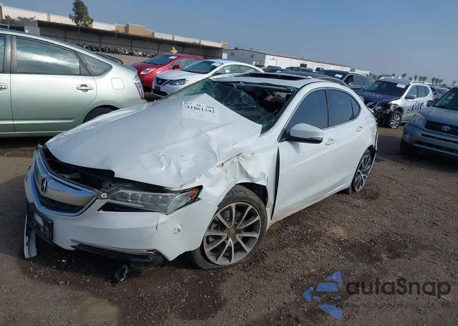 19UUB2F52GA003305: 41861442