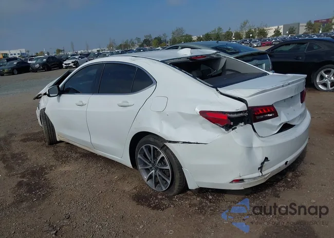 19UUB2F52GA003305: 41861442