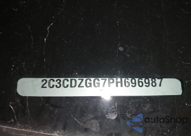 2C3CDZGG7PH696987: 41861477