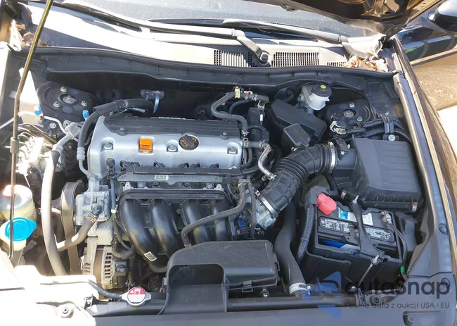 1HGCP2F62BA115875: 41861653