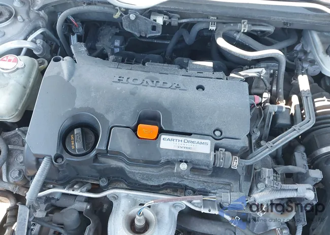 19XFC2F59HE038328: 41863330