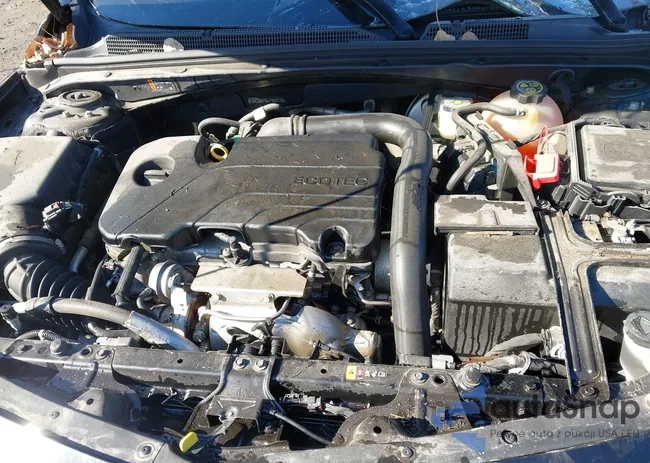 1G1ZD5ST6LF050170: 41863987