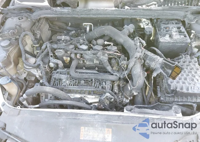 3FA6P0HD3KR229648: 41864881