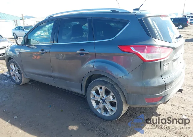 1FMCU9J96GUB96009: 41866127