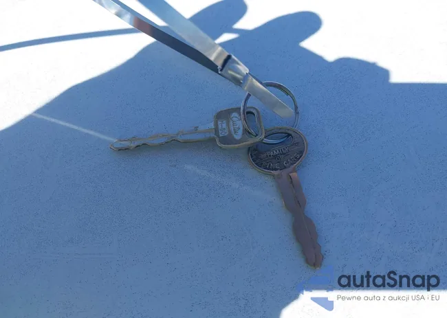 1FAPP36X7PK153107: 41867198