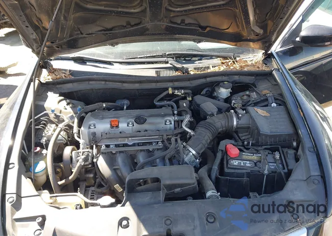 1HGCP2F69BA084995: 41871760