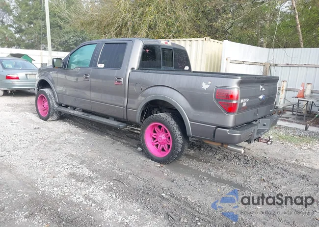 1FTFW1EF1DFD90749: 41876821