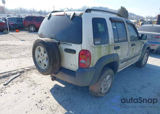 1J4GL48K24W144391: 41880888